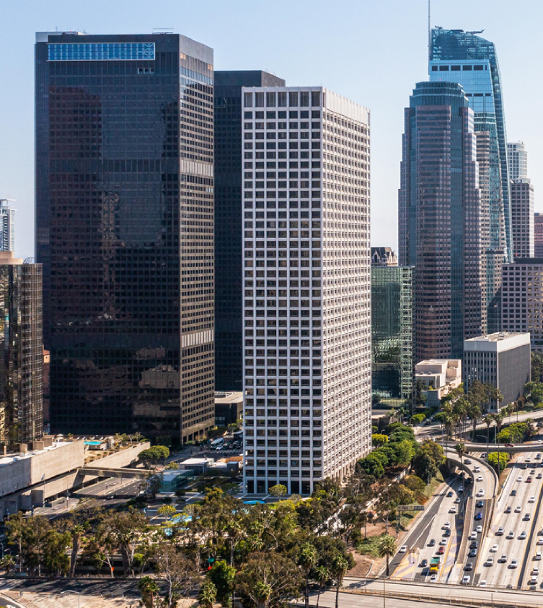 Asesoría profesional